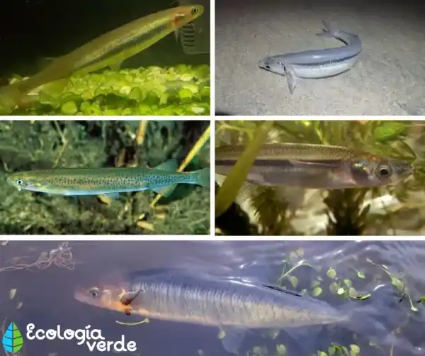 2025082121188469.webp 6.webp