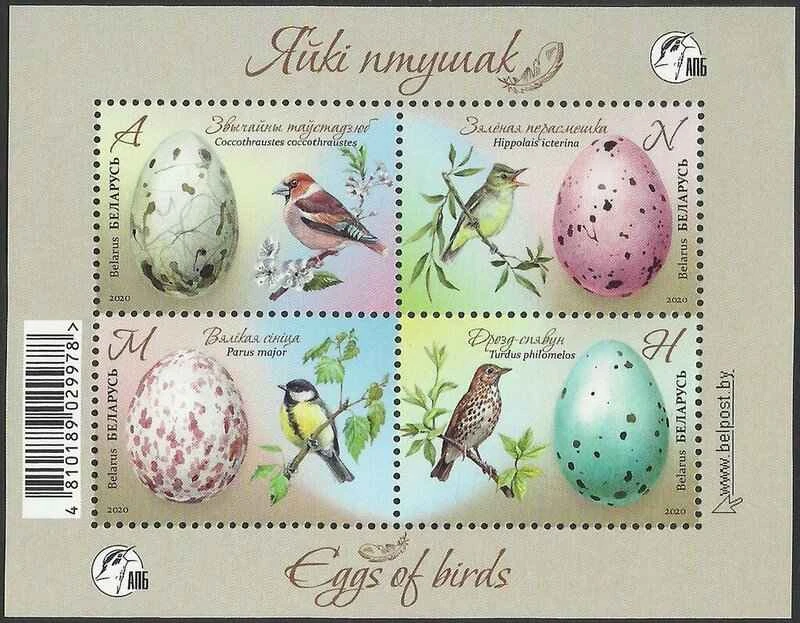 2025030738307611.jpg 44.jpg