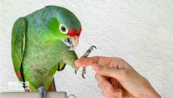 2023110616517641.jpg 2(1).jpg