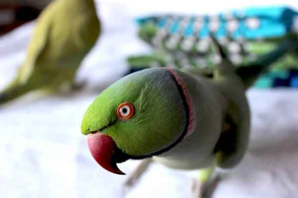 2023110620082710.jpeg 1(1).jpeg