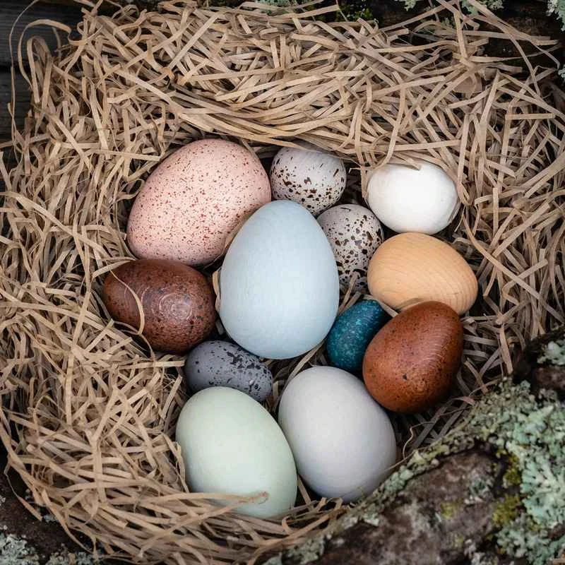 2025030718199509.jpg 124.jpg