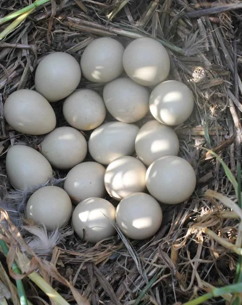 2025030716871234.jpeg 22.jpeg