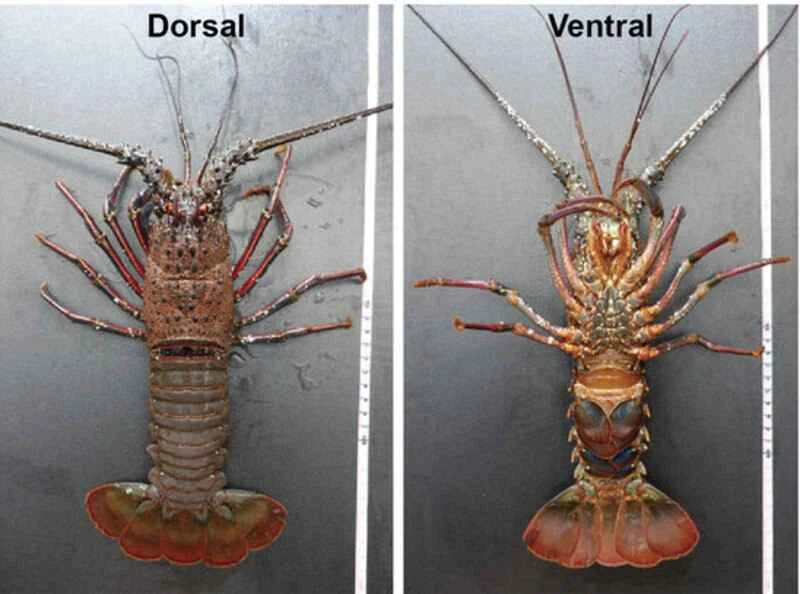 2024120220046269.jpg 55.jpg