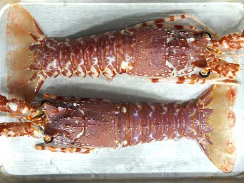 2024120220805878.jpg 3.jpg