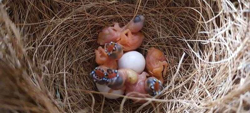 2025030712571229.jpg 101.jpg