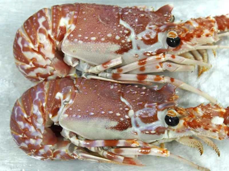 2024120215303608.jpg 33.jpg