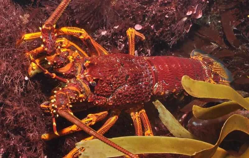 2024120297747693.jpeg 44.jpeg