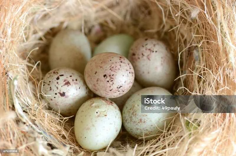 2025030713051719.jpg 11.jpg