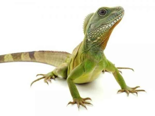 2024120910381598.jpg 7.jpg