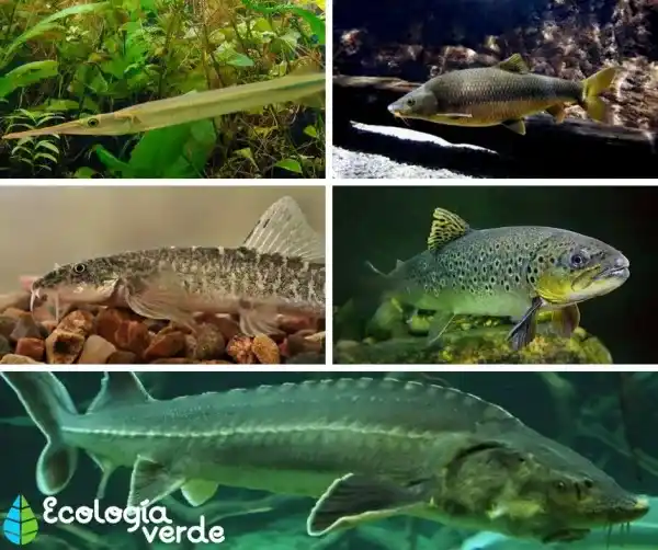 2025082112455489.webp 3.webp