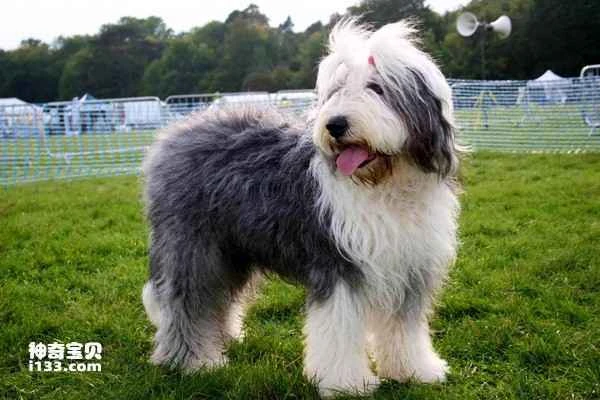 2024020340937733.jpg 5.jpg