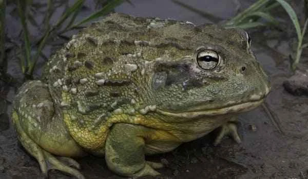 2023112012119518.jpeg 8.jpeg