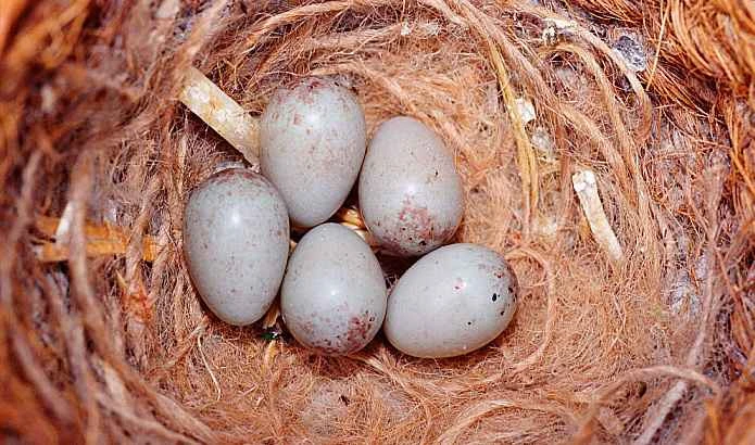 2025030710641660.jpg 77.jpg