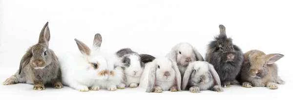 2024120952876120.jpg 1.jpg