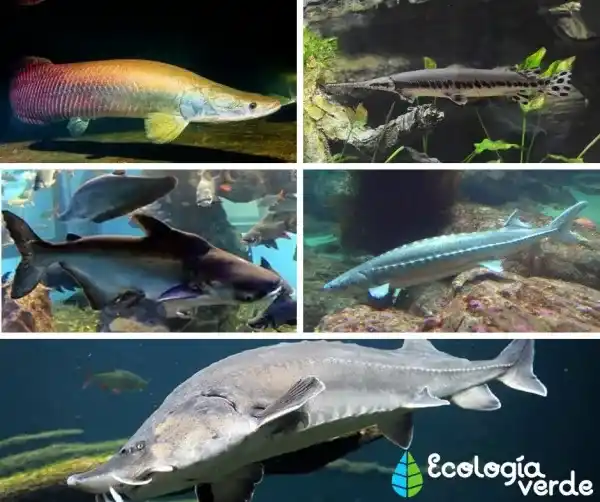 2025082113828732.webp 7.webp