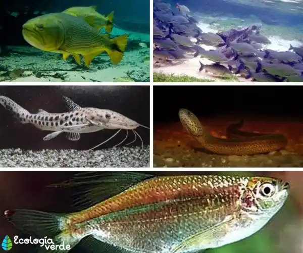 2025082119396742.webp 4.webp