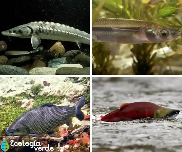 2025082167960251.webp 10.webp