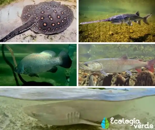 2025082186344473.webp 8.webp