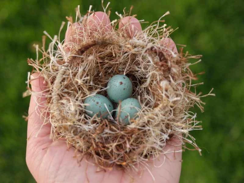 2025030730400175.jpg 125.jpg