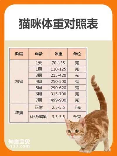 Cat weight and food intake chart