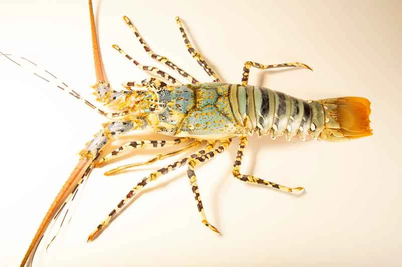 2024120217979862.jpg 11.jpg