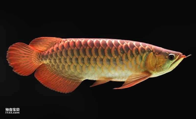 2024071713285027.jpg 2024071713285027.jpg