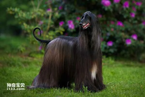 2024020313655884.jpg 4.jpg