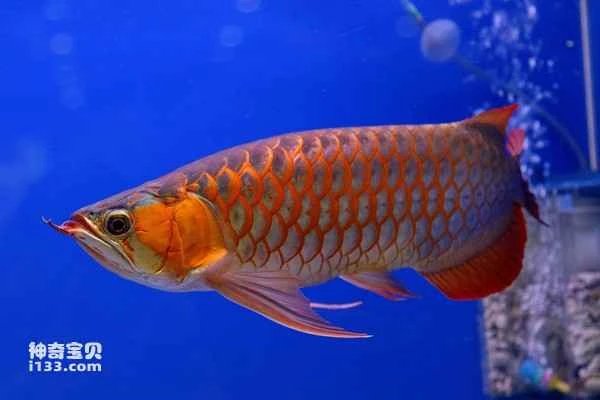 2024071723294234.jpg 2.jpg