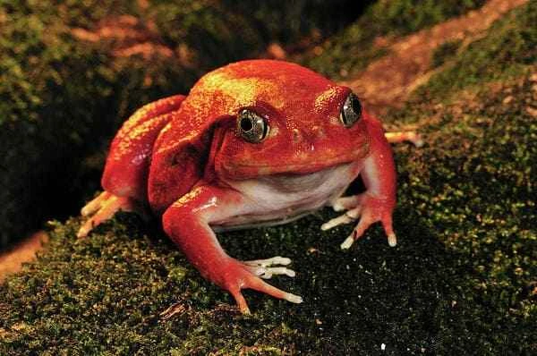 2023112015054539.jpeg 5.jpeg