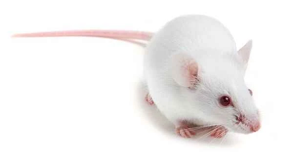 2024120910152394.jpeg 4.jpeg