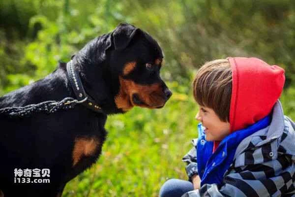 How to prevent dog bites and what to do if your dog bites someone.