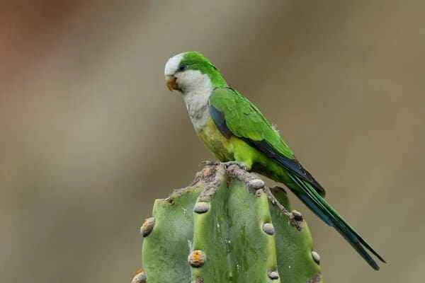 2024011331533811.jpeg 5.jpeg