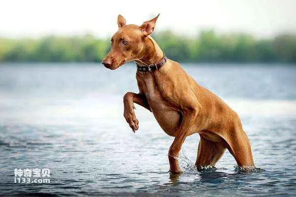 2024020312640002.jpg 101.jpg